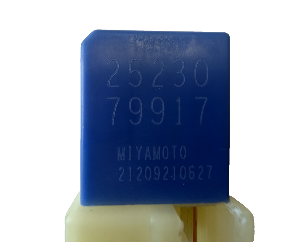 2018-2019 Nissan Kicks Multi Function Relay Fuse 25230 79917, 21209210627 by Miyamoto