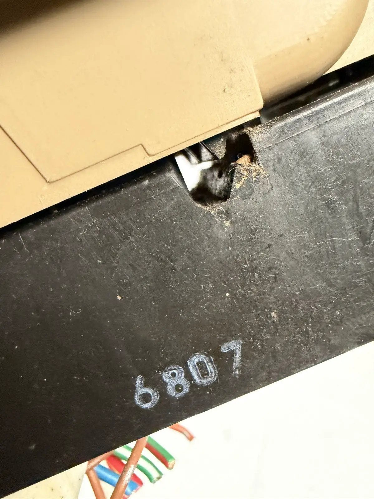 2004-2014 Nissan Titan Armada Master Window Switch Driver Side Left LH Tan by Nissan