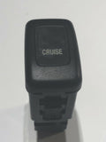 2001-2003 Acura MDX, Cruise Control Switch (Beige)