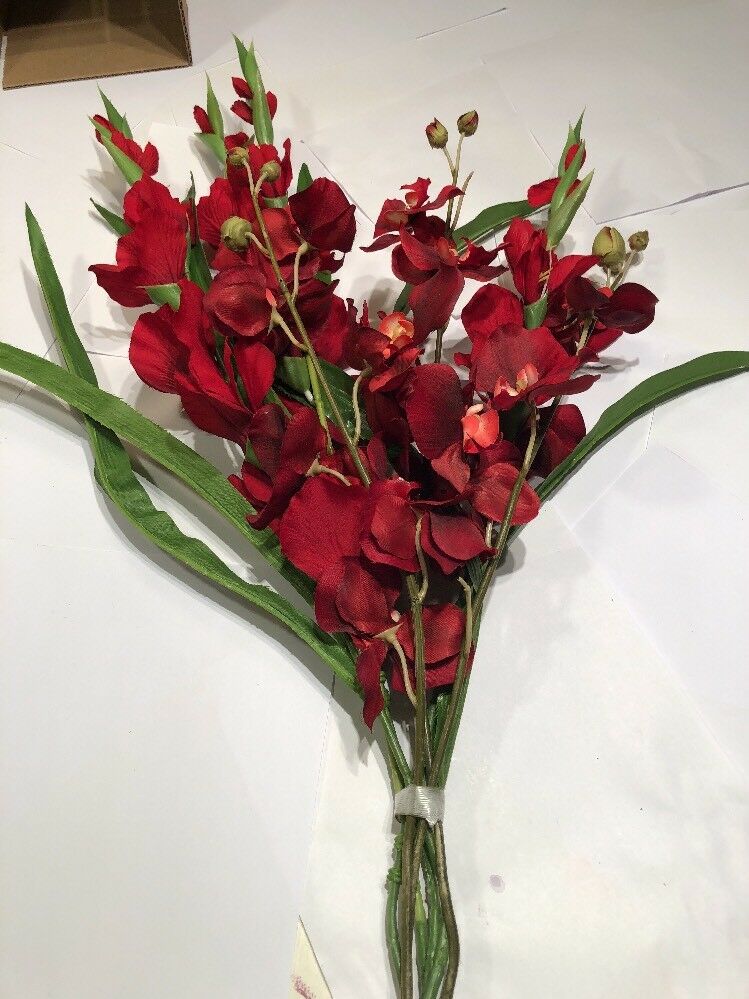 Red Flowers Perfect For Arrangment