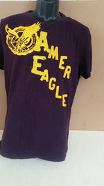 Tshirt American Eagle purple color large in size