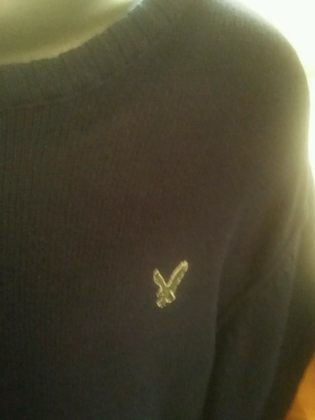 American Eagle large navy blue sweater with a green eagle. by American Eagle Outfitters