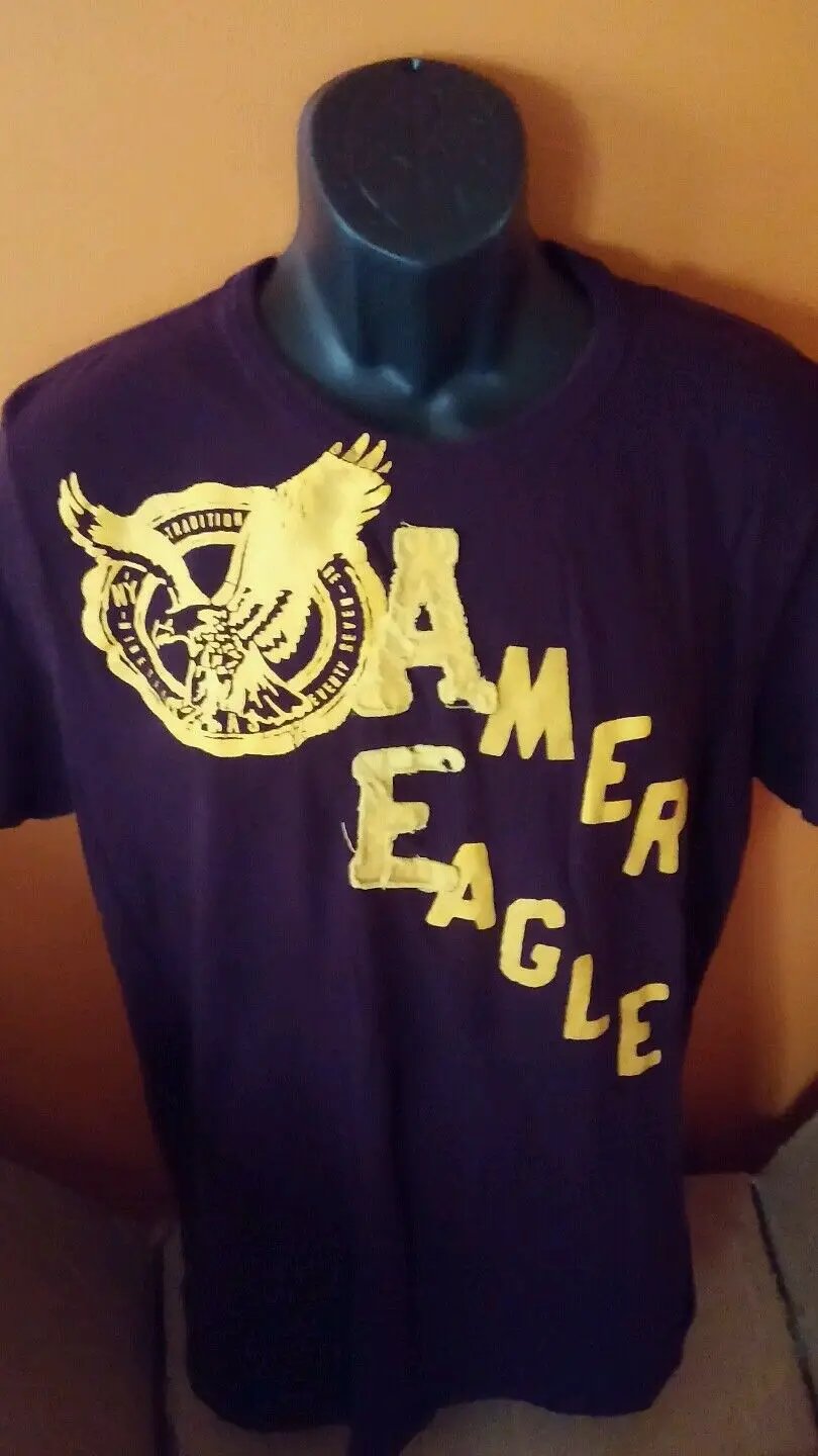 Tshirt American Eagle purple color large in size by American Eagle