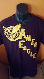 Tshirt American Eagle purple color large in size