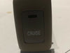 2001-2003 Acura MDX, Cruise Control Switch (Beige)