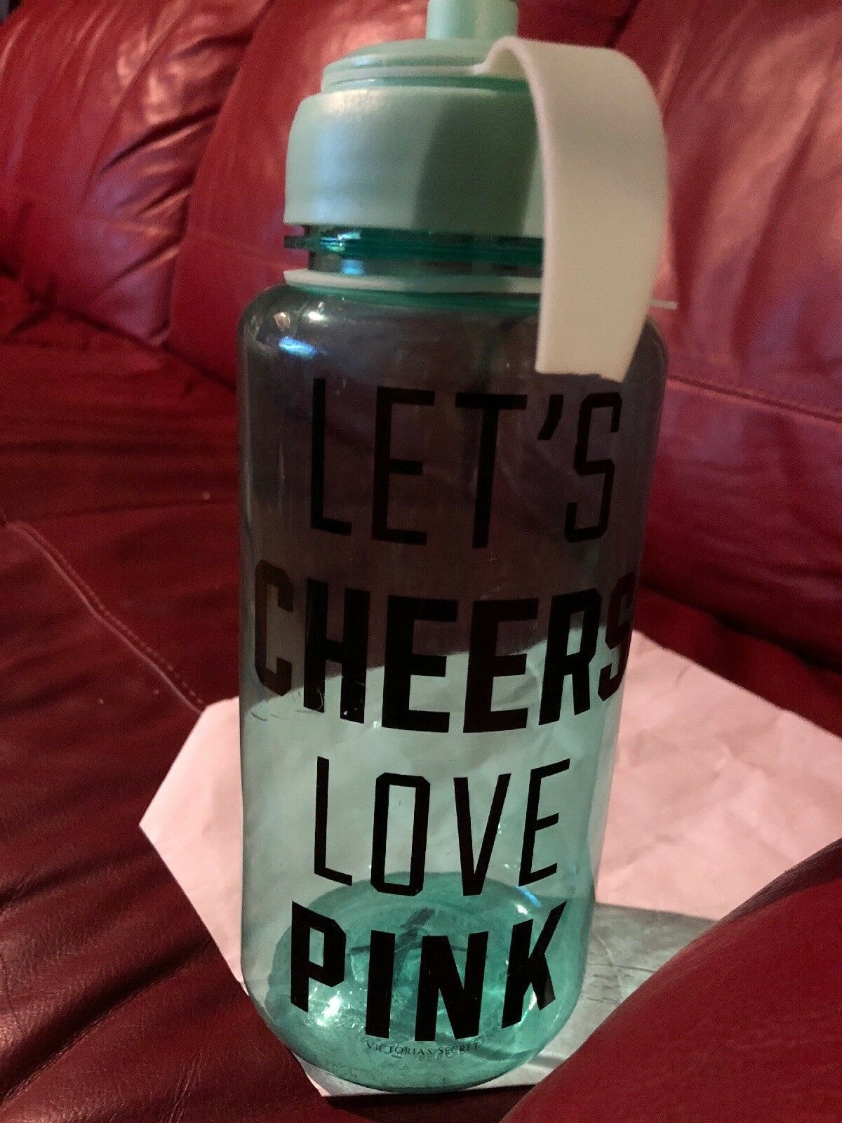 Lets Cheers Love Pink Water Bottle Teal Color