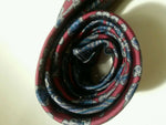 CHRISTIAN DIOR MONSIEUR RED BLUE FLORAL PAISLEY SILK NECKTIE TIE MOC0516A #T20
