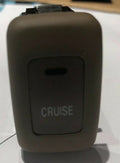 2001-2003 Acura MDX, Cruise Control Switch (Beige)