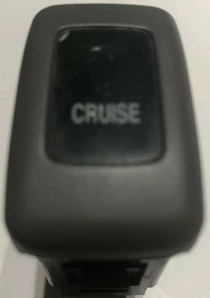 2001-2003 Acura MDX, Cruise Control Switch Gray