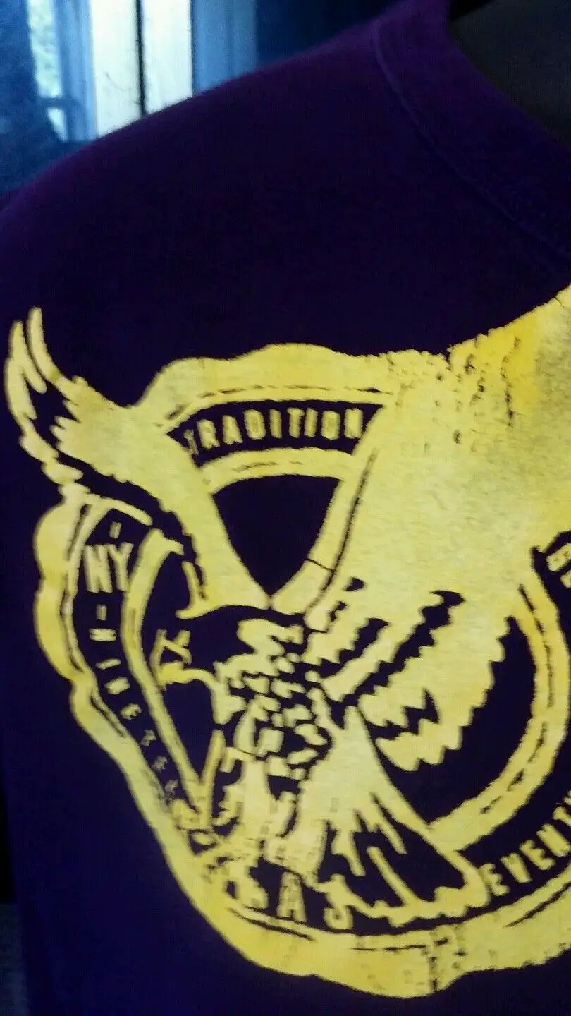 Tshirt American Eagle purple color large in size by American Eagle